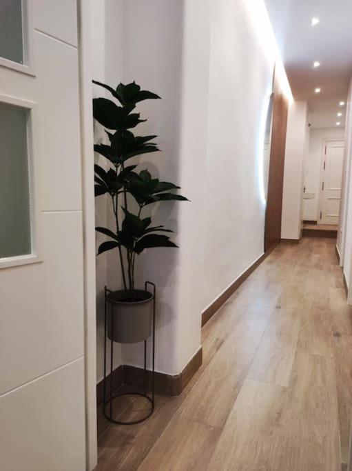 Apartamento Sierra-Sol Ronda Eksteriør billede